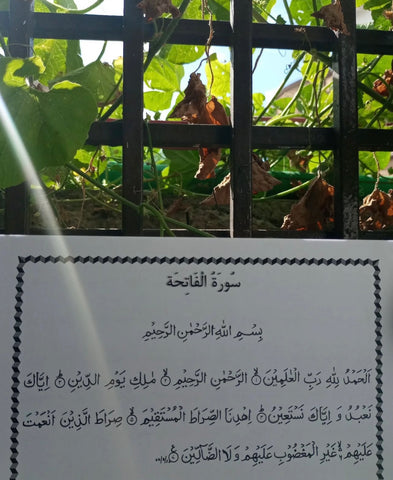 Tracing Quran Workbook 23 Surahs without Translation